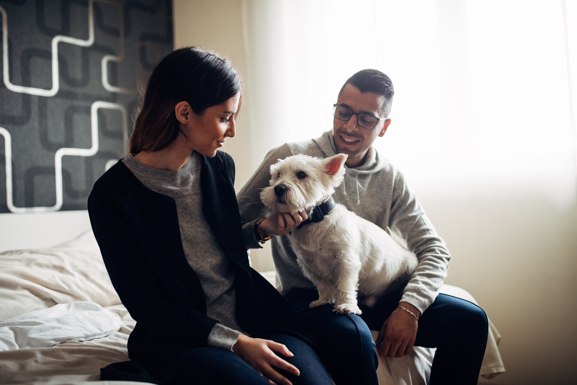 harryshome_18_72dpi_ap_dz-149-von-321